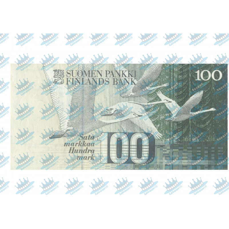 100 finnish mark bill - from behind - edible cake topper