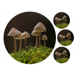 Mushrooms - edible cake topper