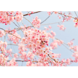 Cherry tree - edible cake topper