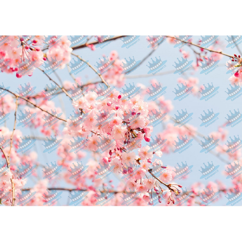 Cherry tree - edible cake topper