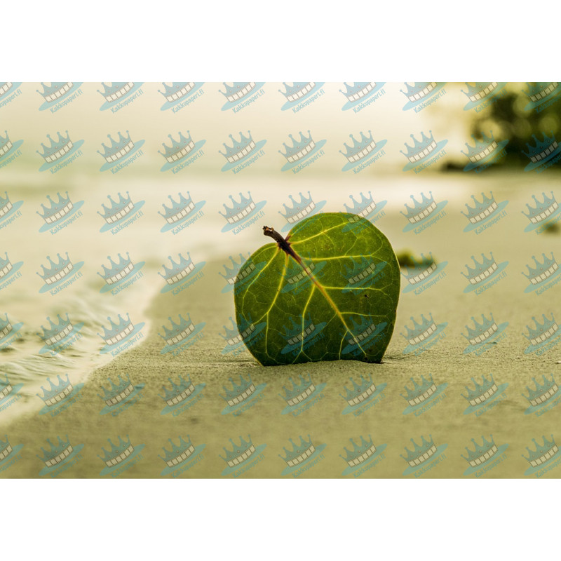 Leaf on beach - edible cake topper