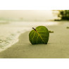 Leaf on beach - edible cake topper