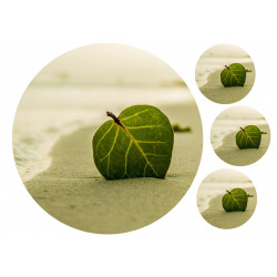 Leaf on beach - edible cake topper