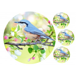 Bird on a branch - edible cake topper