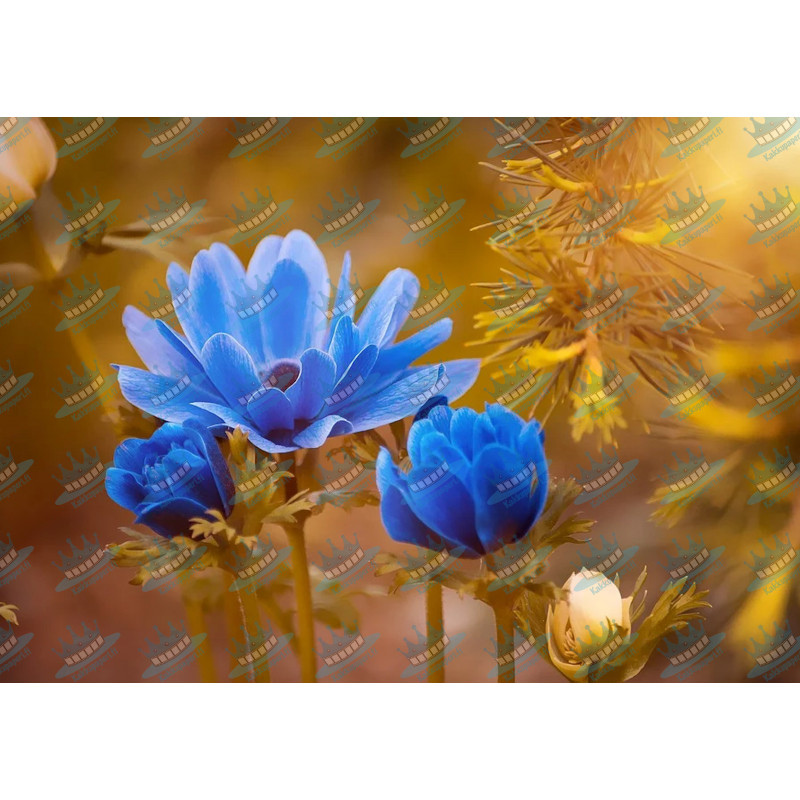 Blue flowers - edible cake topper