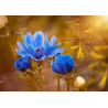 Blue flowers - edible cake topper