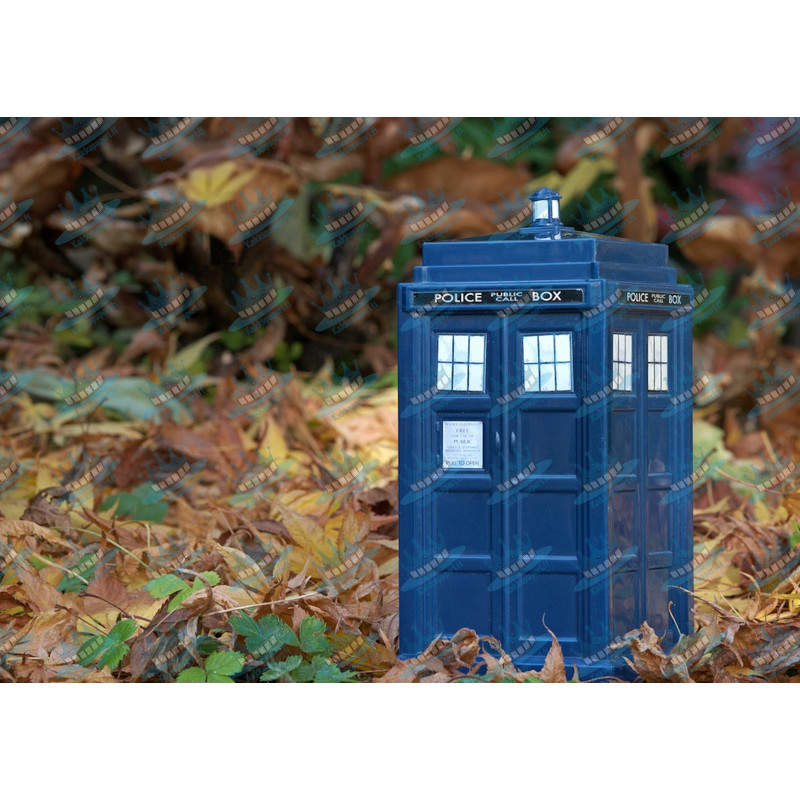 Dr. Who Tardis - Edible cake topper