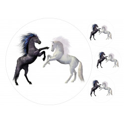 A pair of horses - Edible cake topper