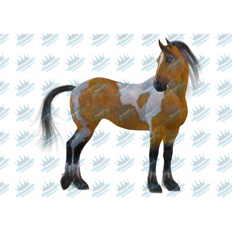 Piebald horse - Edible cake topper