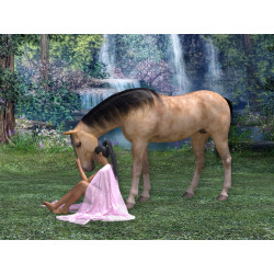 A woman and her horse at a waterfall - Edible cake topper