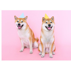 Partying Shiba Inu dogs - Edible cake topper