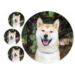 Dog - Shiba Inu - Edible cake topper