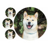 Dog - Shiba Inu - Edible cake topper