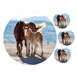 A mare and her foal - Edible cake topper