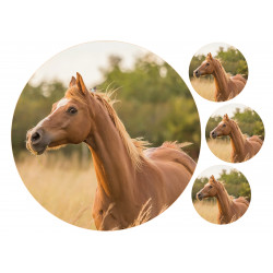 Brown horse - Edible cake topper