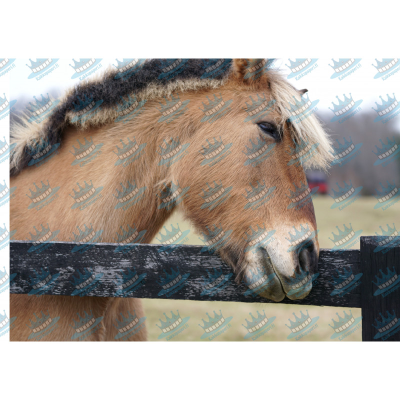 Resting horse - Edible cake topper