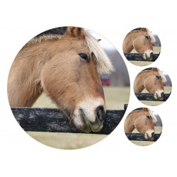 Resting horse - Edible cake topper