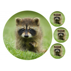 Raccoon dog pup - Edible cake topper