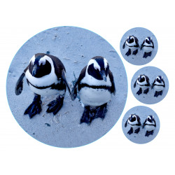 African penguins - Edible cake topper