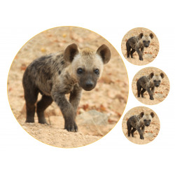 Hyena cub - Edible cake topper