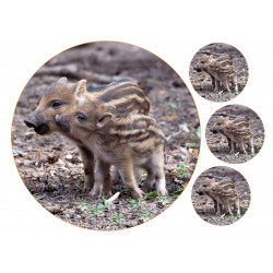 Wild boar piglets - Edible cake topper