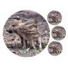 Wild boar piglets - Edible cake topper