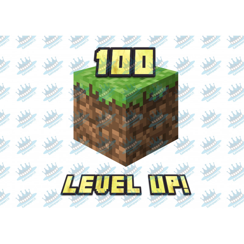 Minecraft level up - Edible cake topper