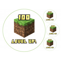 Minecraft level up - Edible cake topper