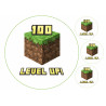 Minecraft level up - Edible cake topper