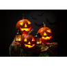 Halloween Cake topper - Pumpkins and lanterns - Edible cake topper