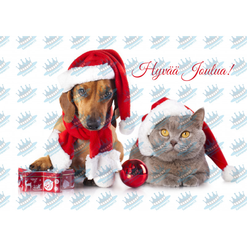 Christmas cat and dog - edible cake topper