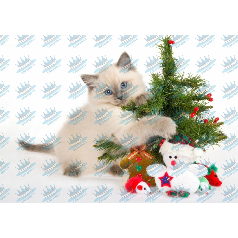 Kitten and Christmas decorations - edible cake topper