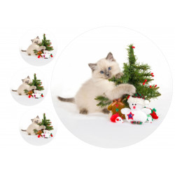 Kitten and Christmas decorations - edible cake topper