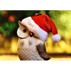 Christmas owl - edible cake topper