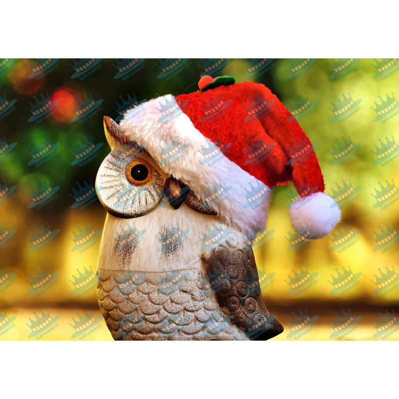 Christmas owl - edible cake topper