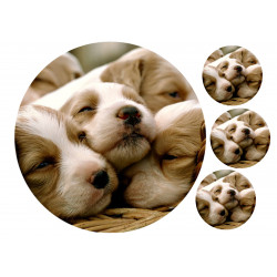 Puppies - Edible cake topper