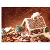 Gingerbread house - edible cake topper