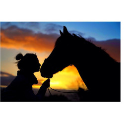 Woman and horse - Edible cake topper