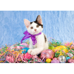 Easter - Easter kitten - edible cake topper