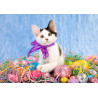 Easter - Easter kitten - edible cake topper