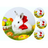 Easter - White easter bunny - edible cake topper