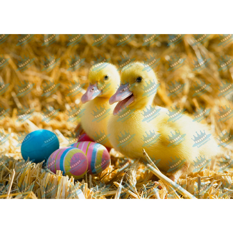 Easter - Ducklings - edible cake topper