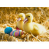 Easter - Ducklings - edible cake topper