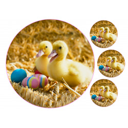 Easter - Ducklings - edible cake topper