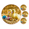 Easter - Ducklings - edible cake topper