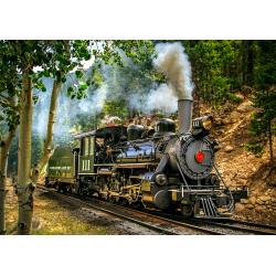 Steam locomotive in forest - Edible cake topper