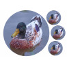 Duck - Edible cake topper