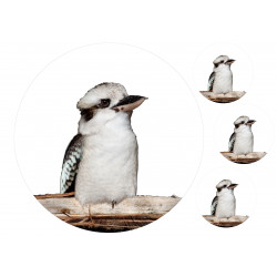 Bird Kookaburra - Edible cake topper