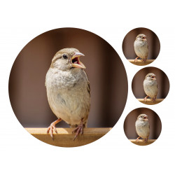 Bird Sparrow - Edible cake topper