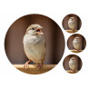 Bird Sparrow - Edible cake topper